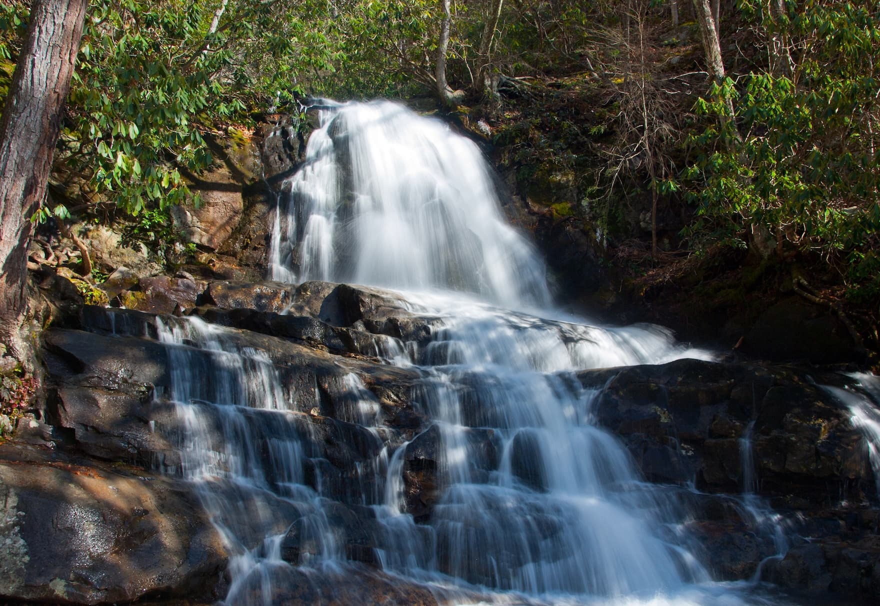 Laurel Falls Cascade, Great Smoky Mountains National Park