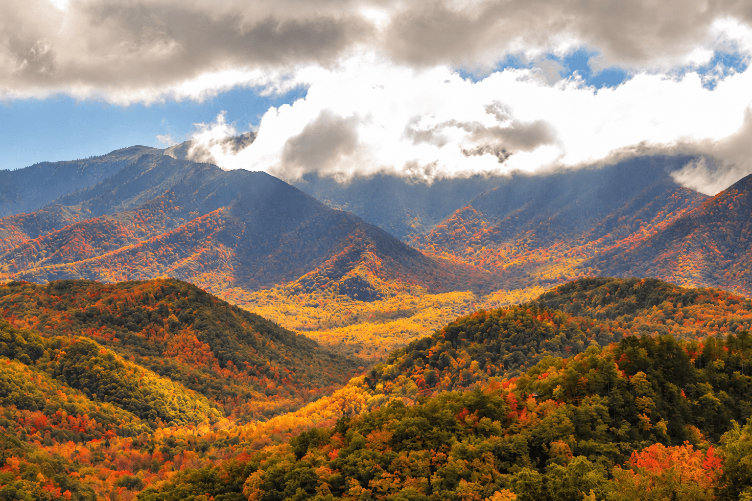 When Will Fall Colors Peak in the Smoky Mountains? 2026 Fall Foliage Guide